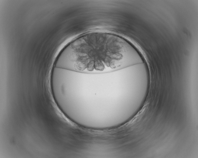 X0000111931341200907271022