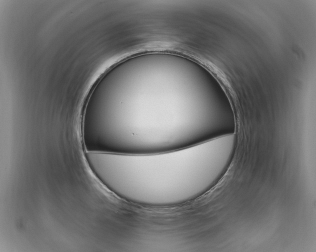 X0000111931342200907271022