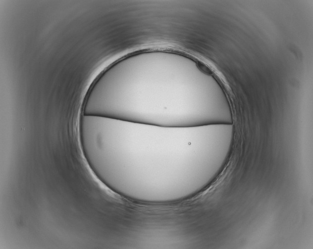 X0000111931343200907271022