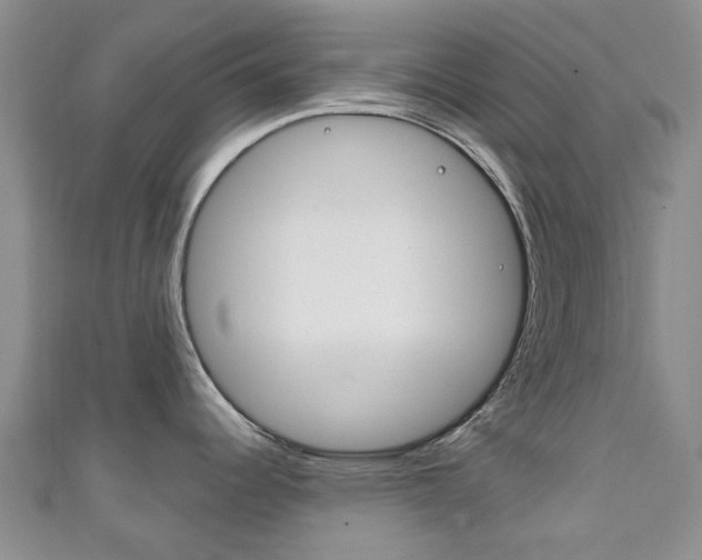 X0000111931344200907271022