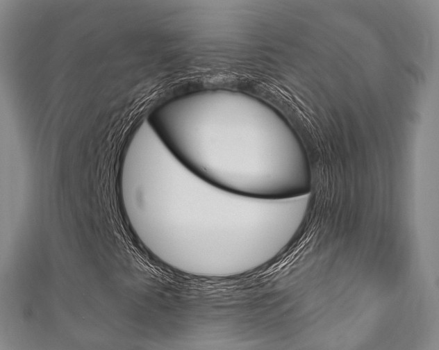 X0000111931345200907271022
