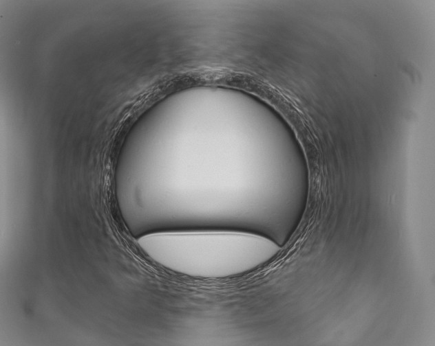 X0000111931349200907271022