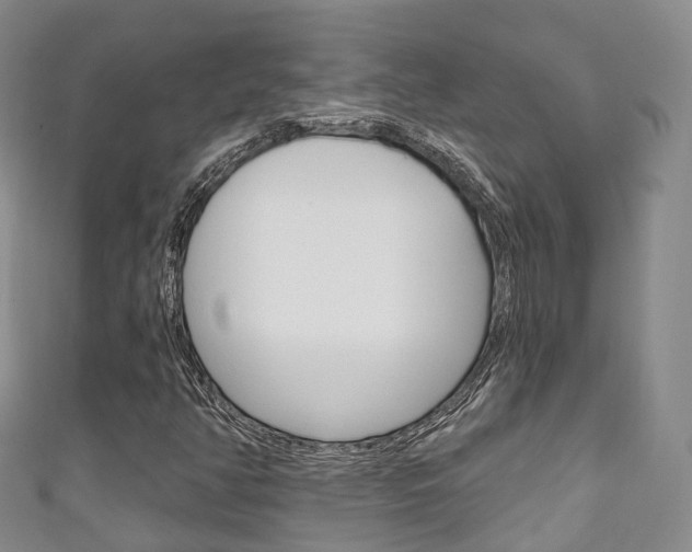 X0000111931350200907271021