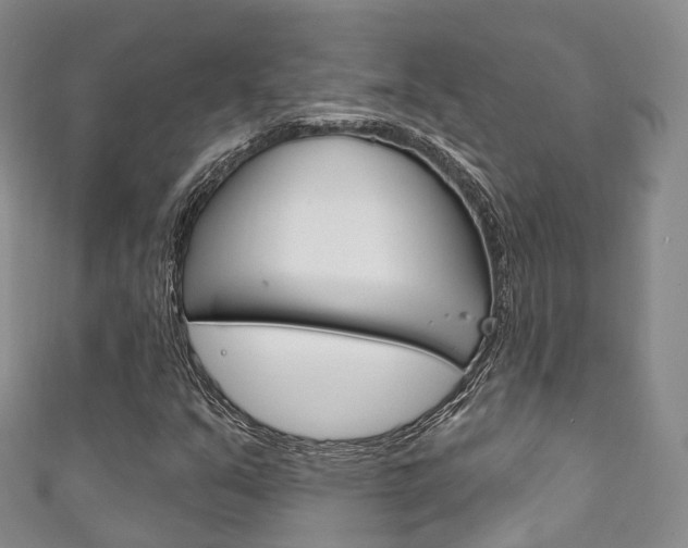 X0000111931351200907271021