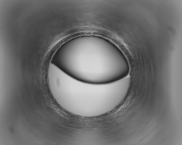 X0000111931352200907271021