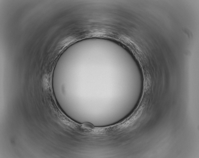 X0000111931353200907271021