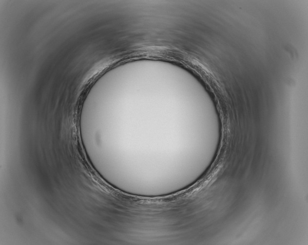 X0000111931354200907271021