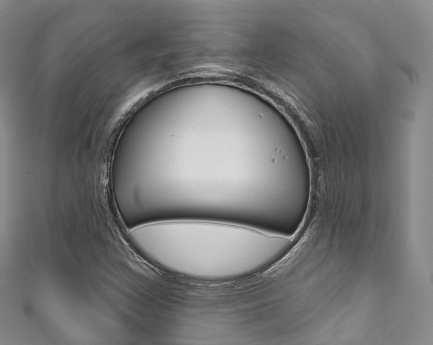 X0000111931355200907271021