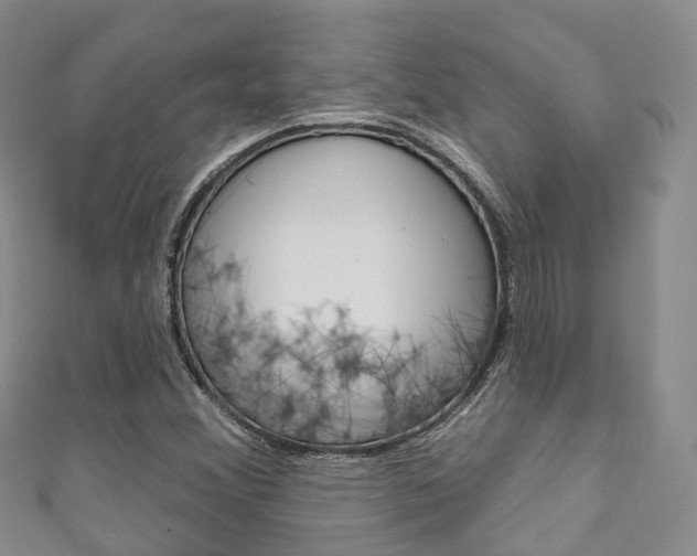 X0000111931356200907271021