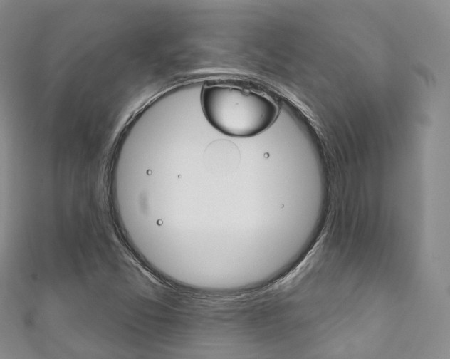 X0000111931357200907271021