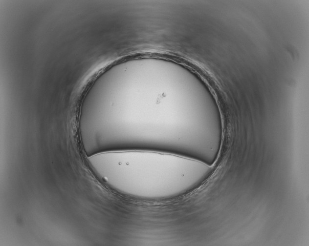 X0000111931359200907271021