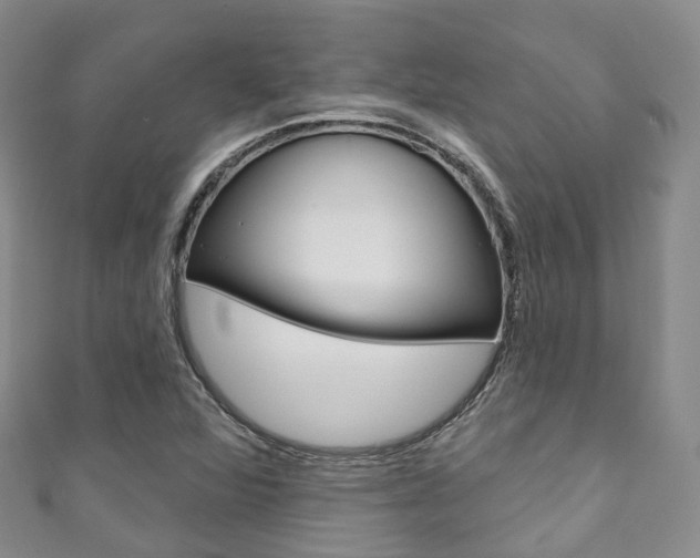 X0000111931360200907271021