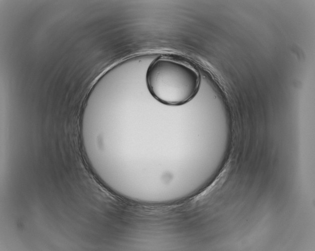 X0000111931361200907271021