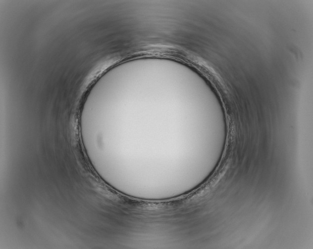 X0000111931362200907271021