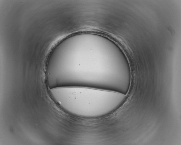 X0000111931363200907271021