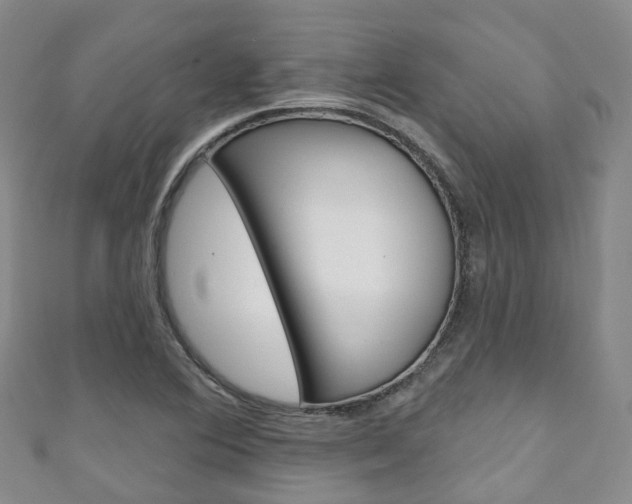X0000111931364200907271021