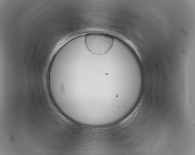 X0000111931365200907271021