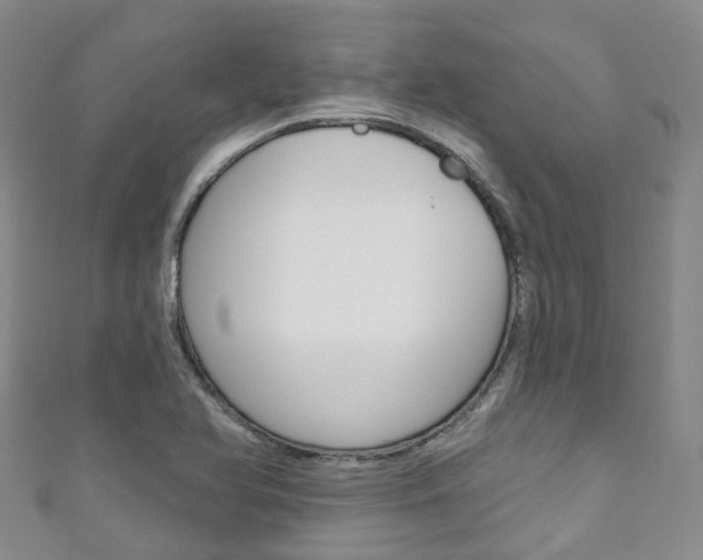 X0000111931366200907271021