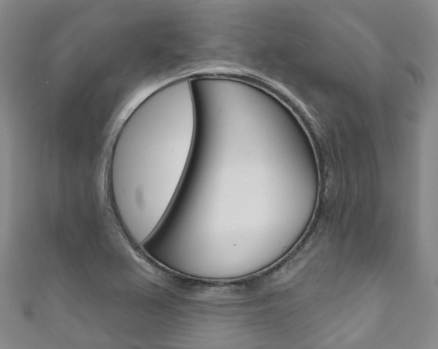 X0000111931367200907271021