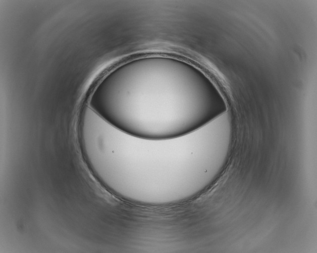 X0000111931368200907271021