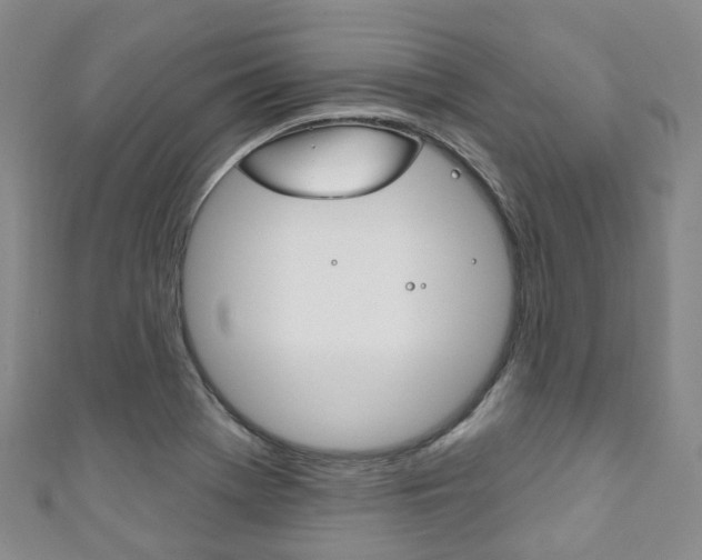 X0000111931369200907271021