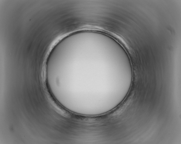 X0000111931371200907271021