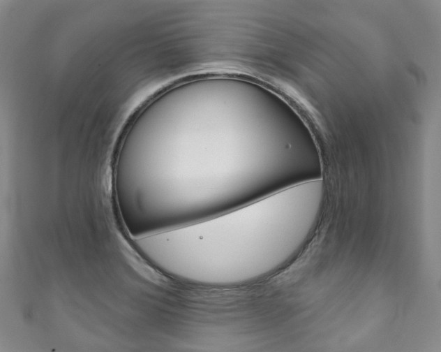 X0000111931372200907271021