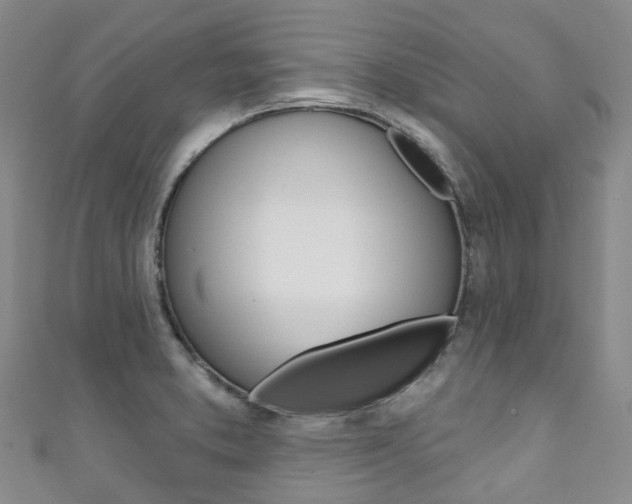 X0000111931373200907271021