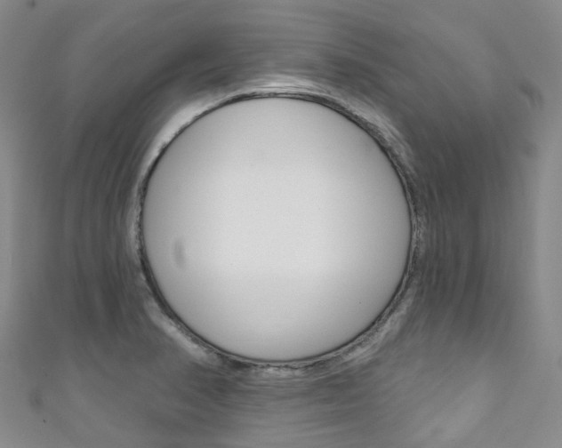 X0000111931374200907271021
