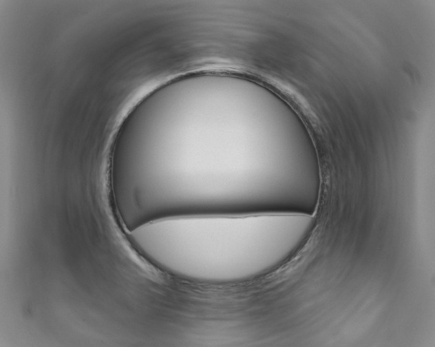 X0000111931375200907271021