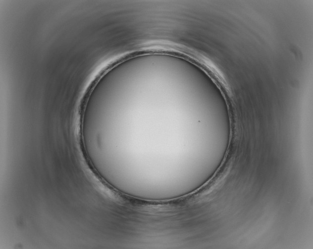 X0000111931376200907271021