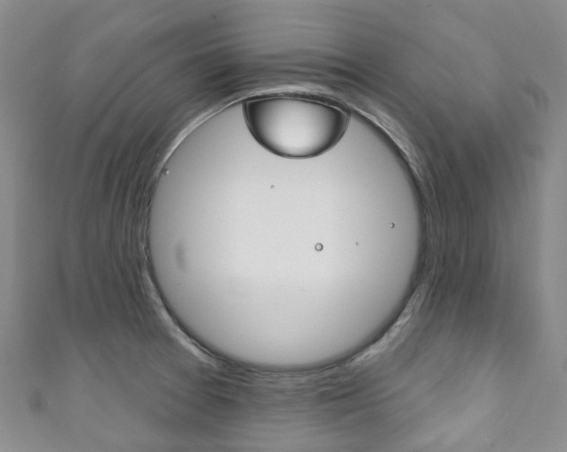 X0000111931377200907271021