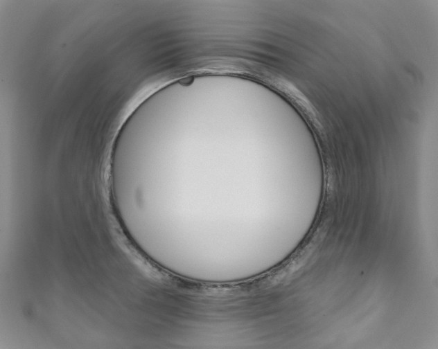 X0000111931378200907271021