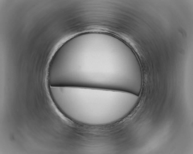 X0000111931379200907271021