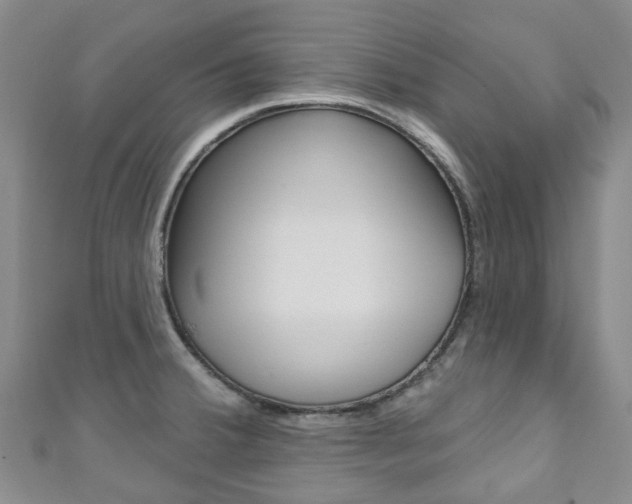 X0000111931380200907271021