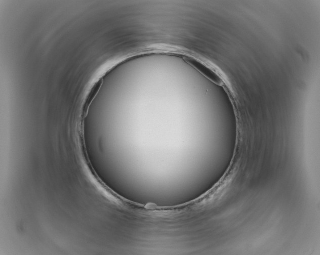 X0000111931381200907271021