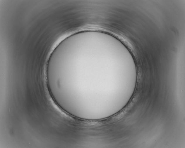 X0000111931382200907271021