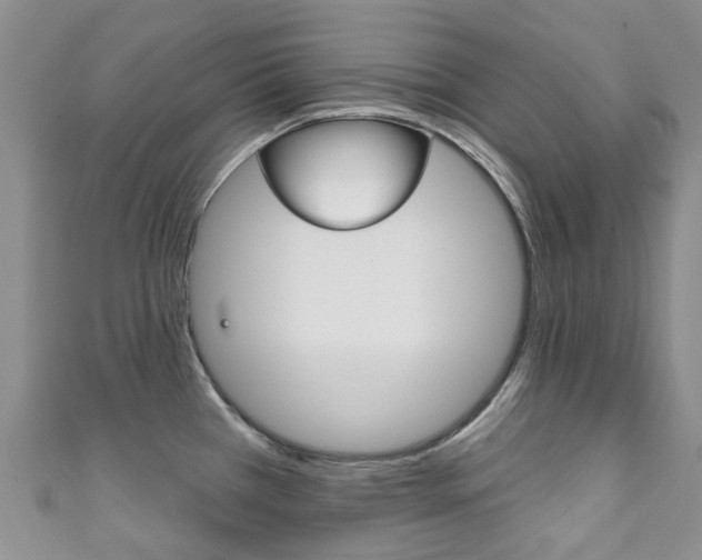 X0000111931385200907271021