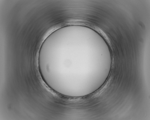 X0000111931386200907271021