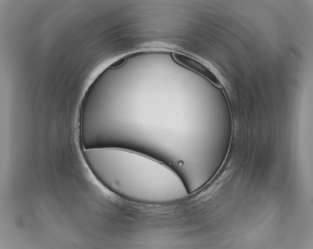 X0000111931387200907271021