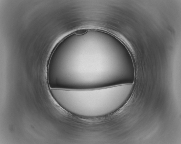 X0000111931388200907271021