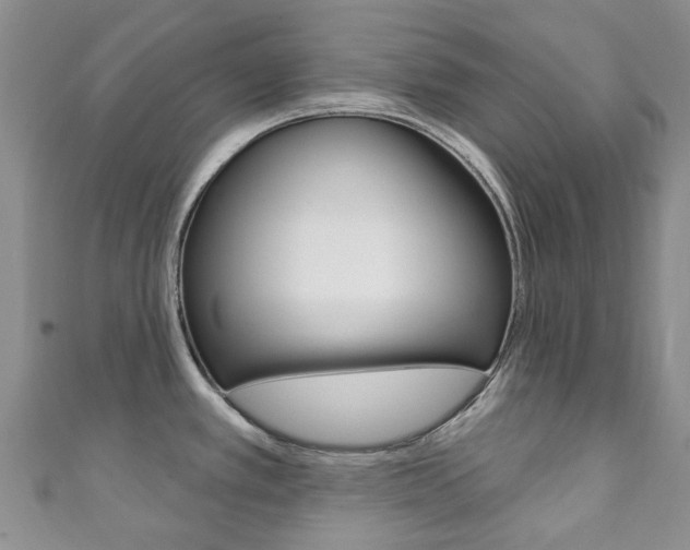 X0000111931389200907271021