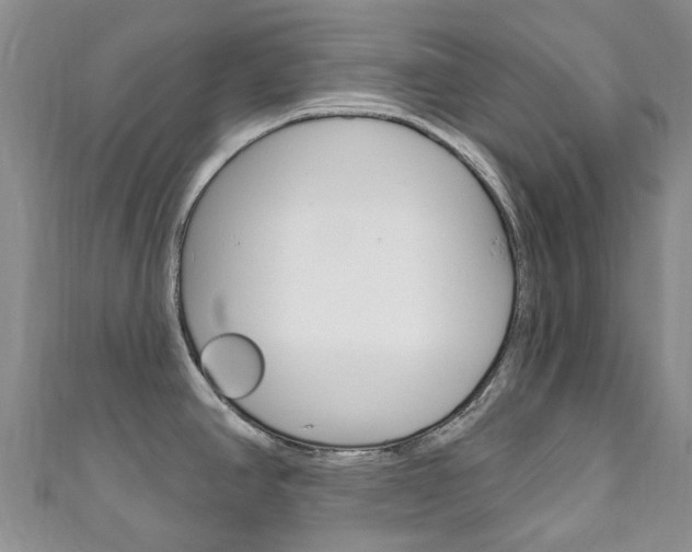 X0000111931390200907271021