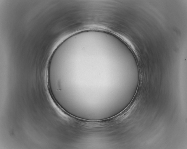 X0000111931391200907271021