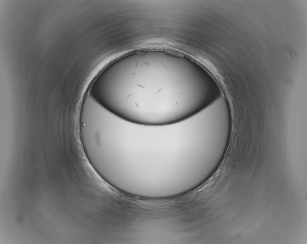 X0000111931392200907271021