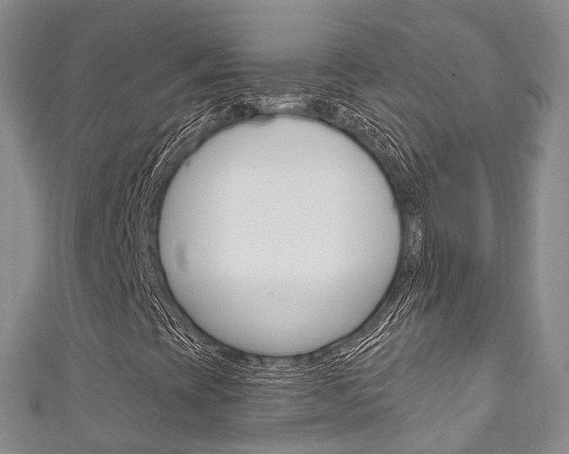 X0000111931393200907271020