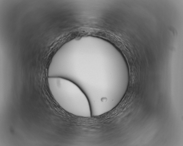 X0000111931397200907271020