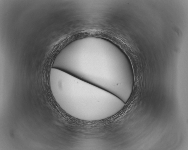 X0000111931398200907271020