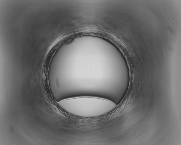 X0000111931400200907271020