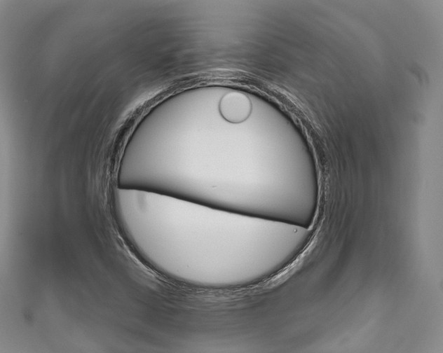 X0000111931402200907271020